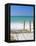 Bradenton Beach, Anna Maria Island, Florida, USA-Fraser Hall-Framed Premier Image Canvas