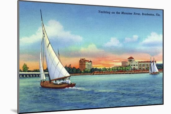 Bradenton, Florida - Sailboat on Manatee River-Lantern Press-Mounted Art Print