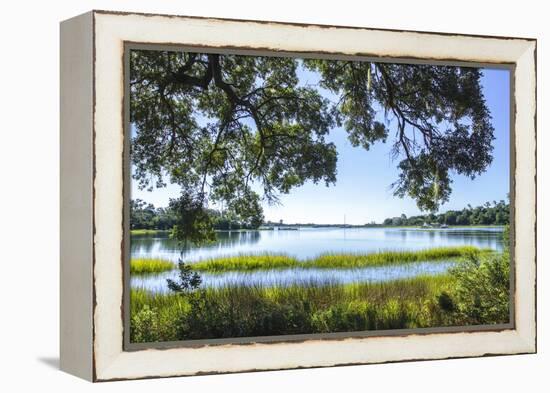 Bradley Creek I-Alan Hausenflock-Framed Premier Image Canvas