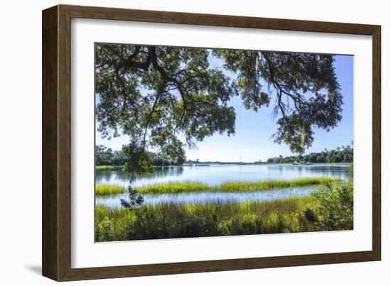 Bradley Creek I-Alan Hausenflock-Framed Photographic Print