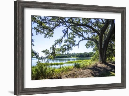 Bradley Creek II-Alan Hausenflock-Framed Photographic Print