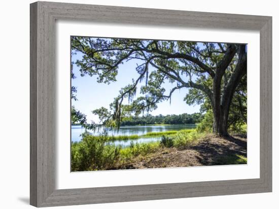 Bradley Creek II-Alan Hausenflock-Framed Photographic Print