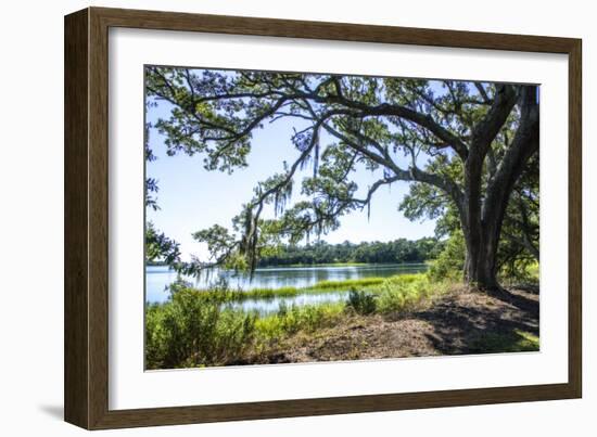 Bradley Creek II-Alan Hausenflock-Framed Photographic Print