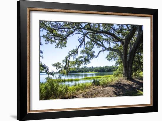 Bradley Creek II-Alan Hausenflock-Framed Photographic Print