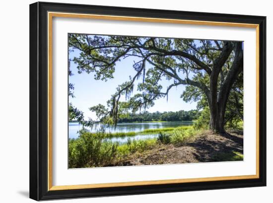 Bradley Creek II-Alan Hausenflock-Framed Photographic Print