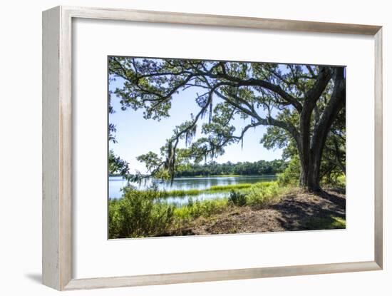 Bradley Creek II-Alan Hausenflock-Framed Photographic Print