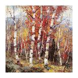 Birch Colors 2-Bradshaw-Giclee Print