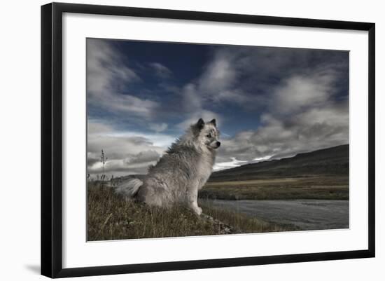 Photographic Print, , large