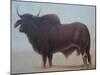 Brahmin Bull-Lincoln Seligman-Mounted Giclee Print