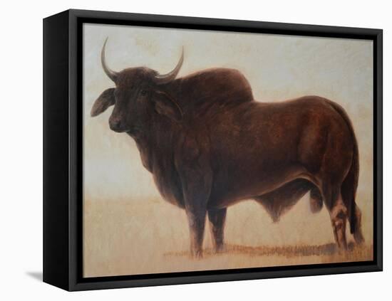 Brahmin Bull-Lincoln Seligman-Framed Premier Image Canvas