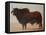 Brahmin Bull-Lincoln Seligman-Framed Premier Image Canvas