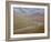 Braided River in the Fall, Denali National Park and Preserve, Alaska, USA-James Hager-Framed Photographic Print