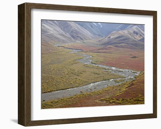 Braided River in the Fall, Denali National Park and Preserve, Alaska, USA-James Hager-Framed Photographic Print