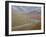 Braided River in the Fall, Denali National Park and Preserve, Alaska, USA-James Hager-Framed Photographic Print