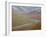 Braided River in the Fall, Denali National Park and Preserve, Alaska, USA-James Hager-Framed Photographic Print