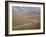 Braided River in the Fall, Denali National Park and Preserve, Alaska, USA-James Hager-Framed Photographic Print