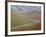 Braided River in the Fall, Denali National Park and Preserve, Alaska, USA-James Hager-Framed Photographic Print