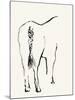 Braided Tail-Kristine Hegre-Mounted Giclee Print