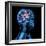 Brain Activity, Artwork-SCIEPRO-Framed Premium Photographic Print