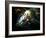 Brain Activity, Artwork-Equinox Graphics-Framed Photographic Print