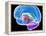 Brain Anatomy, Artwork-Roger Harris-Framed Premier Image Canvas