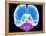 Brain Anatomy, Artwork-Roger Harris-Framed Premier Image Canvas