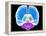 Brain Anatomy, Artwork-Roger Harris-Framed Premier Image Canvas