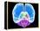 Brain Anatomy, Artwork-Roger Harris-Framed Premier Image Canvas