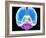 Brain Anatomy, Artwork-Roger Harris-Framed Photographic Print