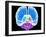 Brain Anatomy, Artwork-Roger Harris-Framed Photographic Print