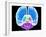 Brain Anatomy, Artwork-Roger Harris-Framed Photographic Print