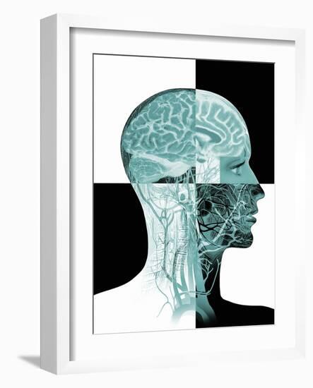 Brain Anatomy-Mehau Kulyk-Framed Photographic Print