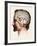 Brain Anatomy-Mehau Kulyk-Framed Photographic Print