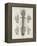 Brain and Spinal Column-A. Bell-Framed Premier Image Canvas