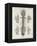 Brain and Spinal Column-A. Bell-Framed Premier Image Canvas