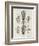 Brain and Spinal Column-A. Bell-Framed Photographic Print