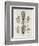 Brain and Spinal Column-A. Bell-Framed Photographic Print