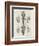 Brain and Spinal Column-A. Bell-Framed Photographic Print