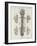 Brain and Spinal Column-A. Bell-Framed Photographic Print