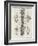 Brain and Spinal Column-A. Bell-Framed Photographic Print