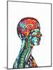 Brain And Spinal Cord, MRI-Mehau Kulyk-Mounted Photographic Print