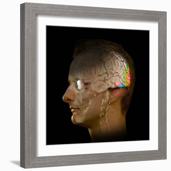 Brain And Vision, Artwork-Henning Dalhoff-Framed Premium Photographic Print