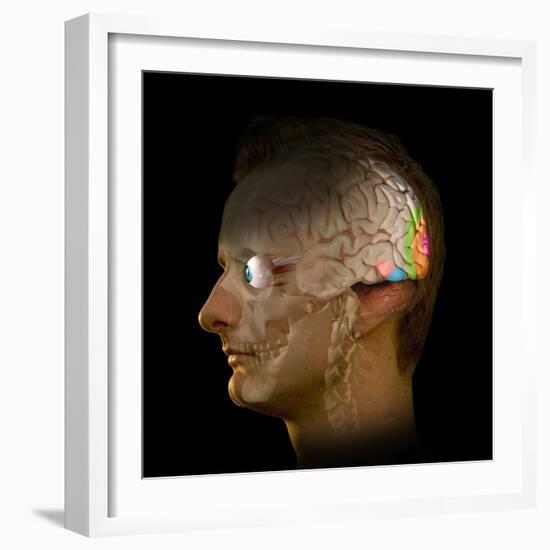 Brain And Vision, Artwork-Henning Dalhoff-Framed Premium Photographic Print