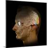 Brain And Vision, Artwork-Henning Dalhoff-Mounted Premium Photographic Print