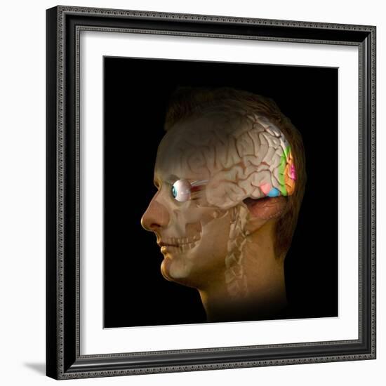 Brain And Vision, Artwork-Henning Dalhoff-Framed Premium Photographic Print