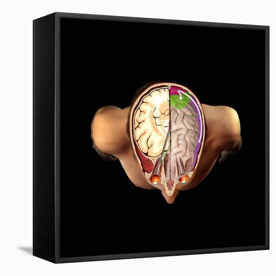 Brain And Vision, Artwork-Henning Dalhoff-Framed Premier Image Canvas