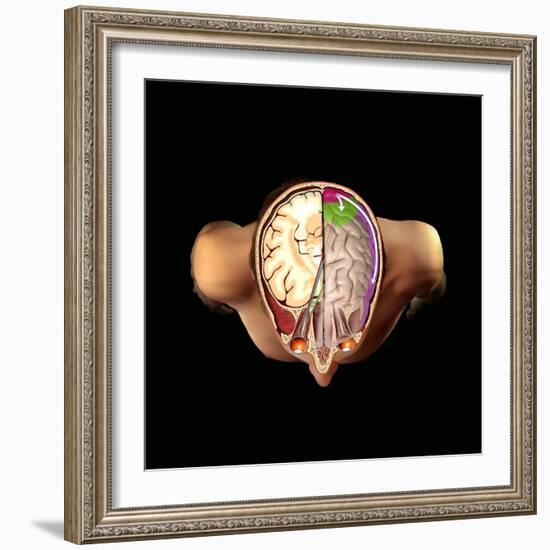 Brain And Vision, Artwork-Henning Dalhoff-Framed Premium Photographic Print