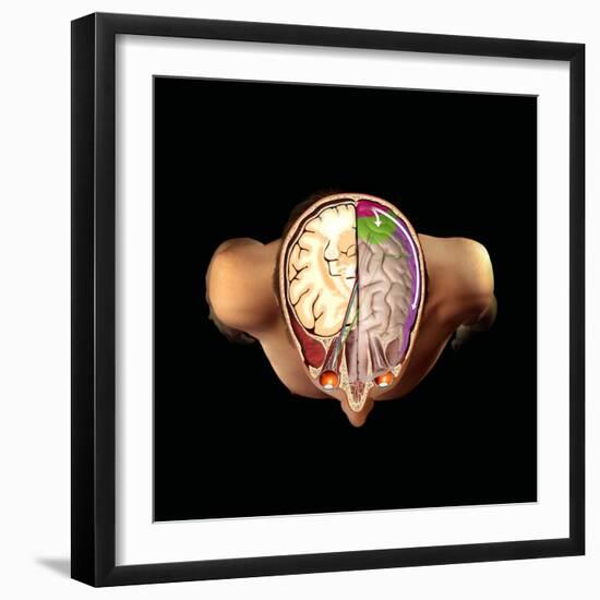 Brain And Vision, Artwork-Henning Dalhoff-Framed Premium Photographic Print