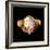 Brain And Vision, Artwork-Henning Dalhoff-Framed Premium Photographic Print