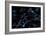 Brain cells with electrical firing of neurons.-Bruce Rolff-Framed Premium Giclee Print